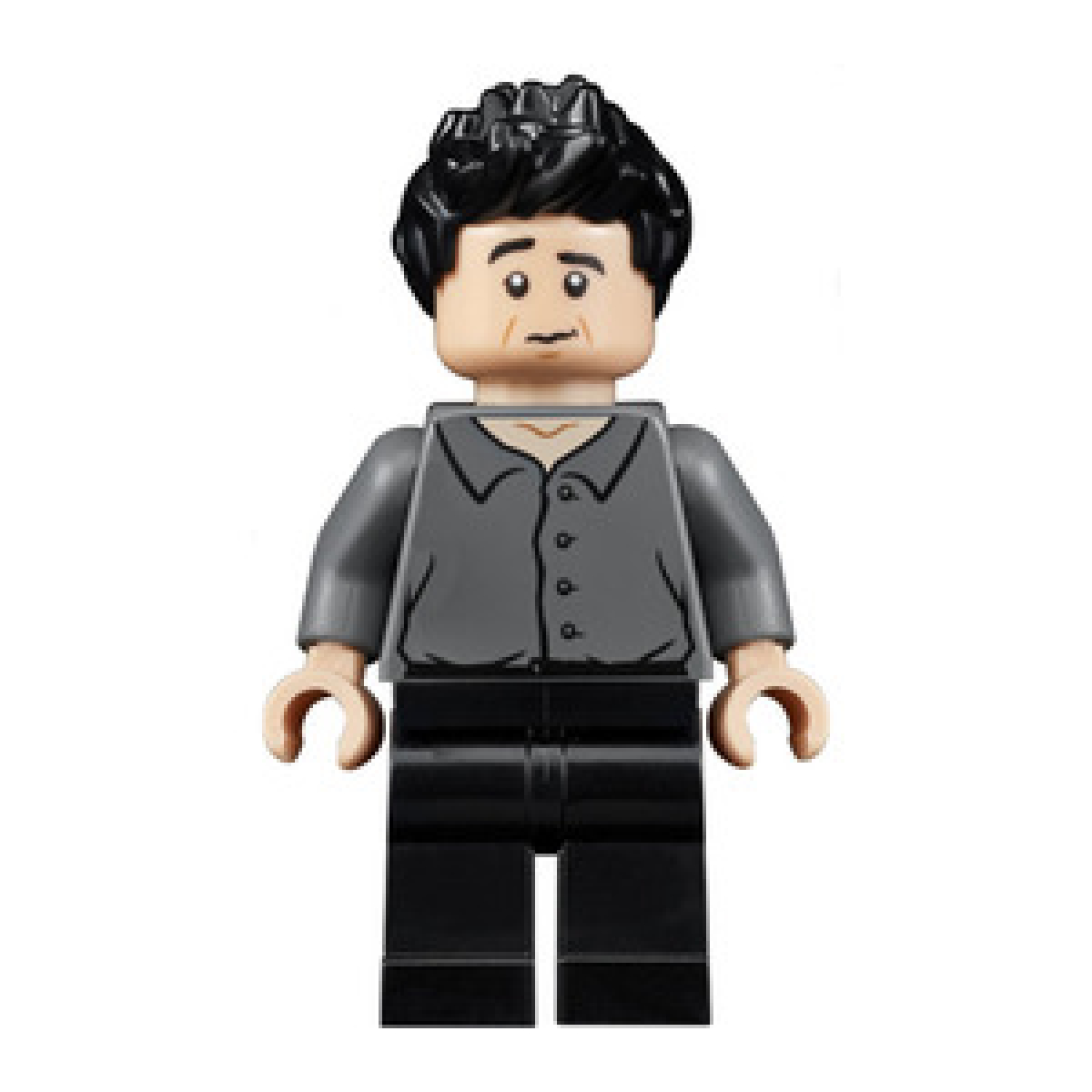 LEGO® Mini-Figurines Creator- Icons - LEGO® Mini-Figurine Ross Geller Série  Friends - La boutique Briques Passion