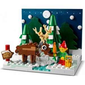 LEGO® Set 40484 Santa's Front Yard
