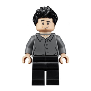 LEGO® Minifigure Ross Geller Série Friends