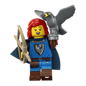 LEGO® Falconer Series 24