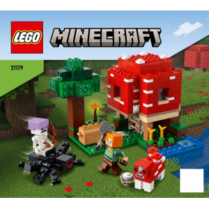 LEGO® Notice Papier Set 21179 Minecraft