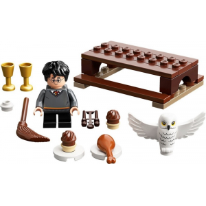 LEGO® Polybag Harry Potter 30420