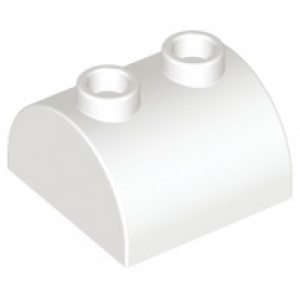 LEGO® Dôme Lisse 2x2 avec 2 Tenons Creux