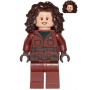 LEGO® Minifigure Star-Wars Peli Motto