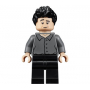 LEGO® Minifigure Ross Geller Série Friends